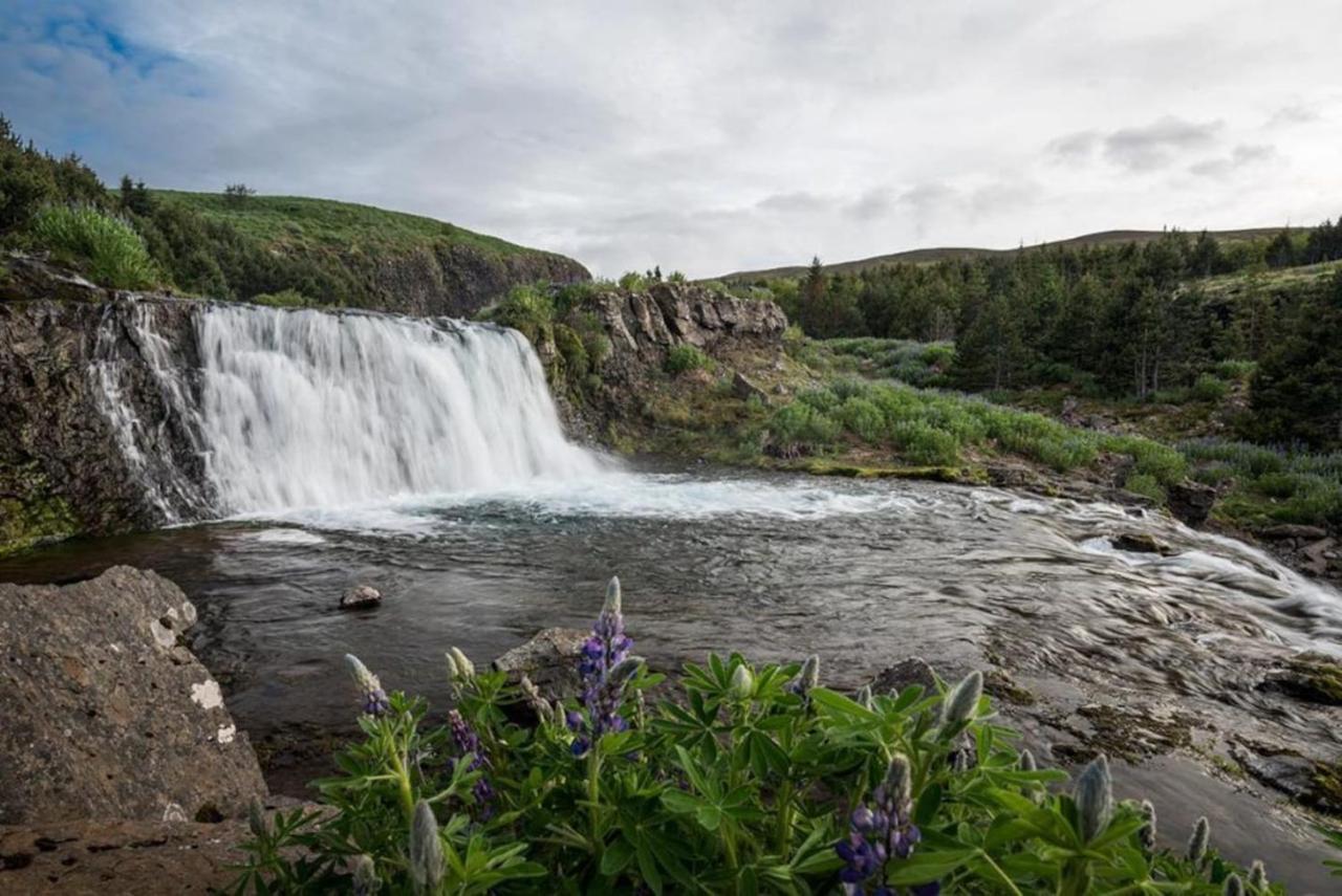 Hvammsvik Nature Resort Kjosahreppur Екстер'єр фото